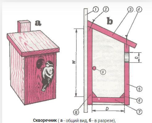 делаем правильный скворечник